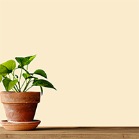 SAM - Bahut plante verte Pompe à Essence